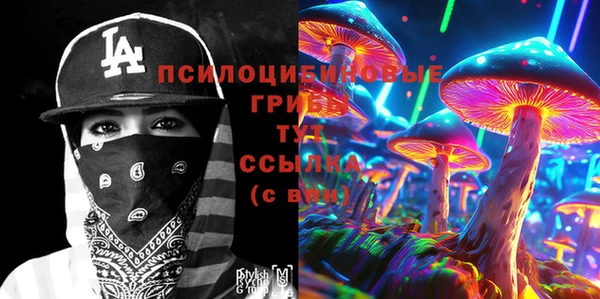 прущий лед Аркадак