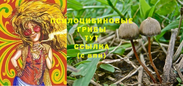 a pvp Арсеньев