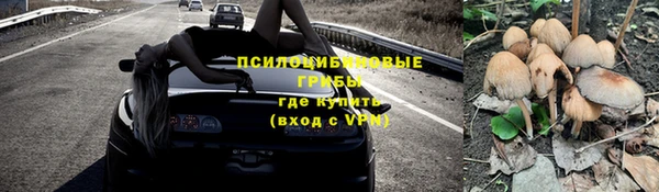 a pvp Арсеньев