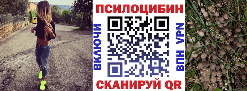 Галлюциногенные грибы MAGIC MUSHROOMS  Орёл 